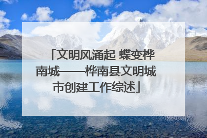 文明风涌起 蝶变桦南城——桦南县文明城市创建工作综述
