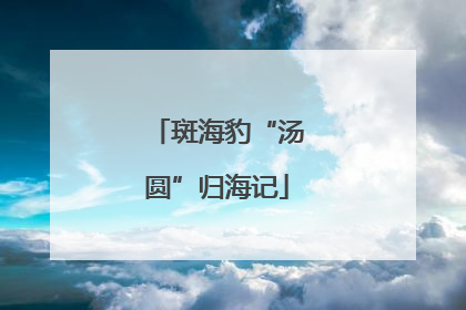 斑海豹“汤圆”归海记