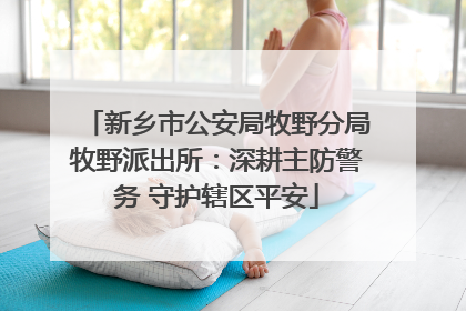 新乡市公安局牧野分局牧野派出所：深耕主防警务 守护辖区平安