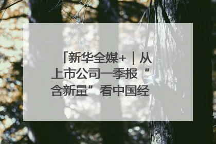 新华全媒+｜从上市公司一季报“含新量”看中国经济发展向“新”