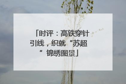 时评：高铁穿针引线，织就“苏超”锦绣图景