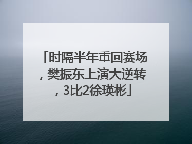 时隔半年重回赛场，樊振东上演大逆转，3比2徐瑛彬