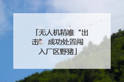 无人机精准“出击” 成功处置闯入厂区野猪