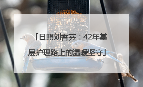 日照刘香芬：42年基层护理路上的温暖坚守