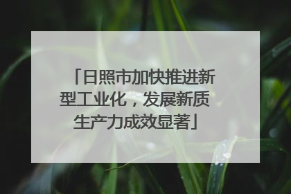 日照市加快推进新型工业化，发展新质生产力成效显著