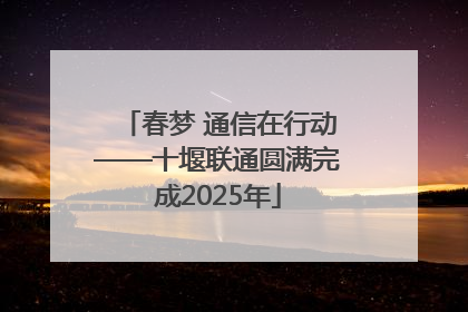 春梦 通信在行动——十堰联通圆满完成2025年