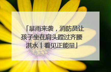 暴雨来袭，消防员让孩子坐在肩头蹚过齐腰洪水丨看见正能量