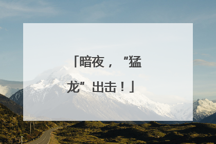 暗夜，“猛龙”出击！