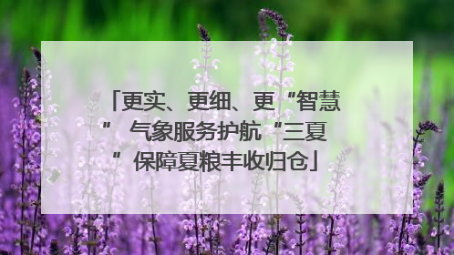 更实、更细、更“智慧” 气象服务护航“三夏”保障夏粮丰收归仓
