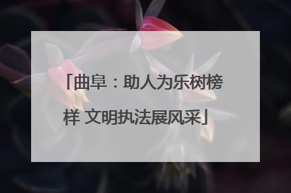 曲阜：助人为乐树榜样 文明执法展风采