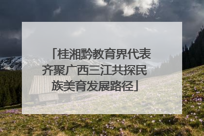 桂湘黔教育界代表齐聚广西三江共探民族美育发展路径