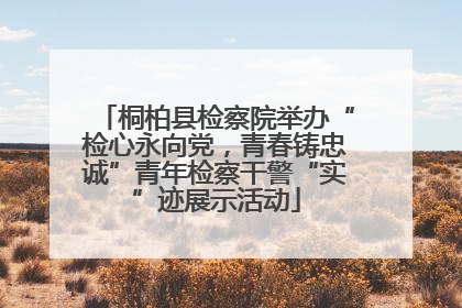 桐柏县检察院举办“检心永向党，青春铸忠诚”青年检察干警“实”迹展示活动