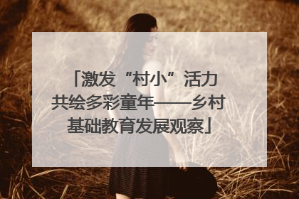 激发“村小”活力 共绘多彩童年——乡村基础教育发展观察