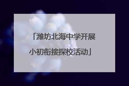 潍坊北海中学开展小初衔接探校活动