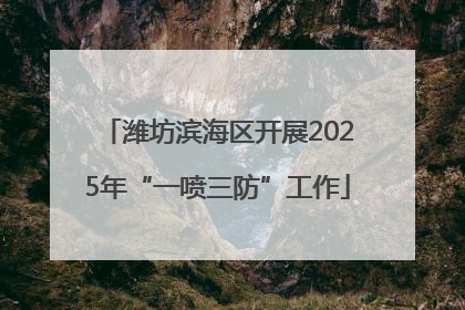潍坊滨海区开展2025年“一喷三防”工作