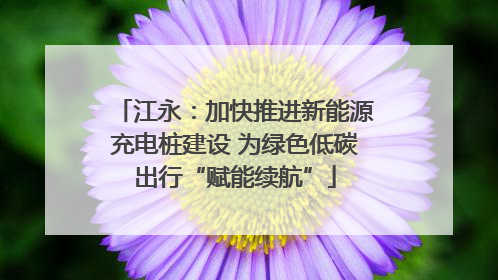 江永：加快推进新能源充电桩建设 为绿色低碳出行“赋能续航”