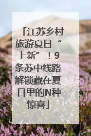 江苏乡村旅游夏日“上新”！9条苏中线路解锁藏在夏日里的N种惊喜
