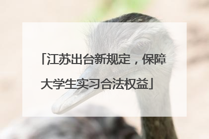 江苏出台新规定，保障大学生实习合法权益