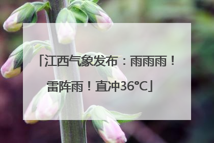 江西气象发布：雨雨雨！雷阵雨！直冲36°C