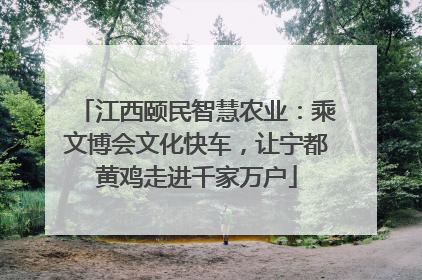 江西颐民智慧农业：乘文博会文化快车，让宁都黄鸡走进千家万户