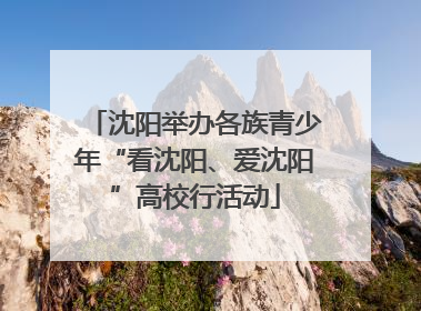 沈阳举办各族青少年“看沈阳、爱沈阳”高校行活动