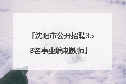 沈阳市公开招聘358名事业编制教师