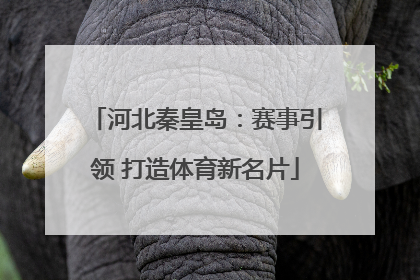 河北秦皇岛：赛事引领 打造体育新名片