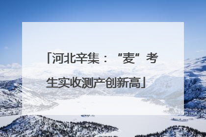 河北辛集：“麦”考生实收测产创新高