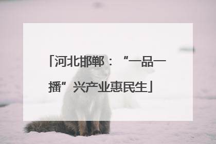 河北邯郸：“一品一播”兴产业惠民生