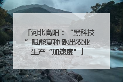 河北高阳：“黑科技”赋能夏种 跑出农业生产“加速度”