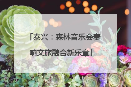 泰兴：森林音乐会奏响文旅融合新乐章