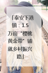 泰安下港镇：1.5万亩“樱桃黄金带”铺就乡村振兴路