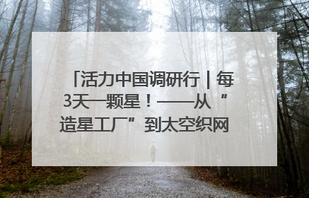 活力中国调研行｜每3天一颗星！——从“造星工厂”到太空织网的“银河速度”