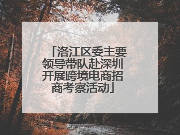 洛江区委主要领导带队赴深圳开展跨境电商招商考察活动
