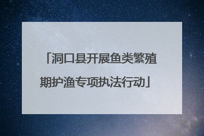 洞口县开展鱼类繁殖期护渔专项执法行动