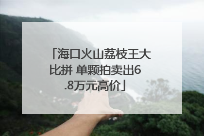 海口火山荔枝王大比拼 单颗拍卖出6.8万元高价