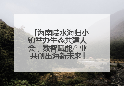 海南陵水海归小镇举办生态共建大会，数智赋能产业共创出海新未来