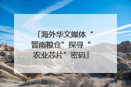 海外华文媒体“晋南粮仓”探寻“农业芯片”密码