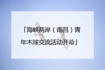海峡两岸（南昌）青年木球交流活动开幕