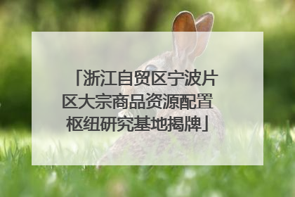 浙江自贸区宁波片区大宗商品资源配置枢纽研究基地揭牌