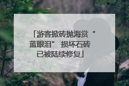游客掀砖抛海赏“蓝眼泪” 损坏石砖已被陆续修复
