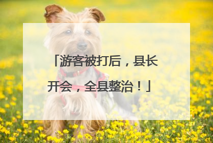 游客被打后，县长开会，全县整治！