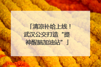 清凉补给上线！武汉公交打造“提神醒脑加油站”