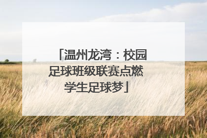 温州龙湾：校园足球班级联赛点燃学生足球梦