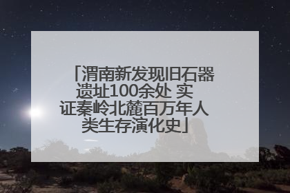 渭南新发现旧石器遗址100余处 实证秦岭北麓百万年人类生存演化史