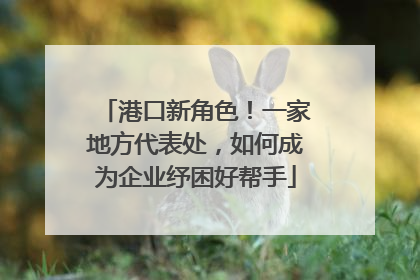 港口新角色！一家地方代表处，如何成为企业纾困好帮手