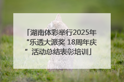 湖南体彩举行2025年“乐透大派奖 18周年庆”活动总结表彰培训