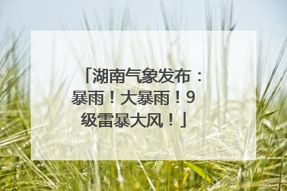湖南气象发布：暴雨！大暴雨！9级雷暴大风！