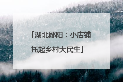 湖北郧阳：小店铺托起乡村大民生