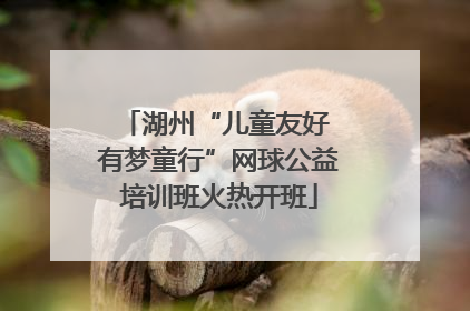 湖州“儿童友好 有梦童行”网球公益培训班火热开班